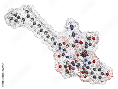 Caspofungin antifungal drug molecule.  photo