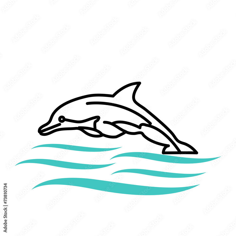 dolphin vector