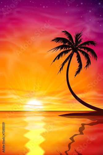 Sunset, Sunrise with Palm Tree