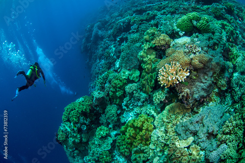 Divers, mushroom leather coral in Banda, Indonesia underwater