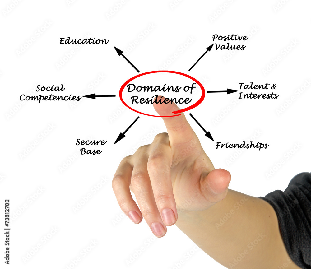 Domains of resilience Domains of resilience