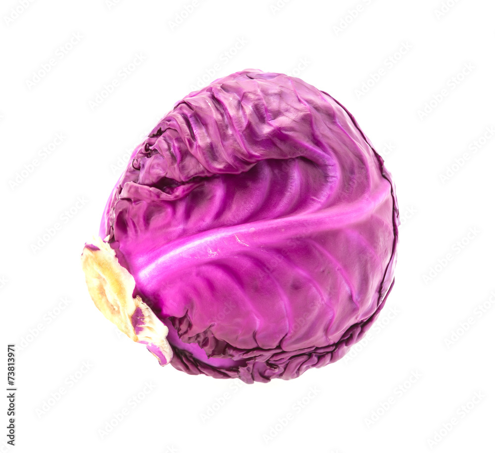 Obraz premium Cabbage isolated on white