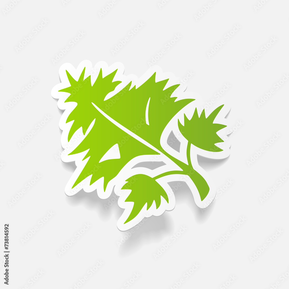 Obraz premium realistic design element: parsley, dill