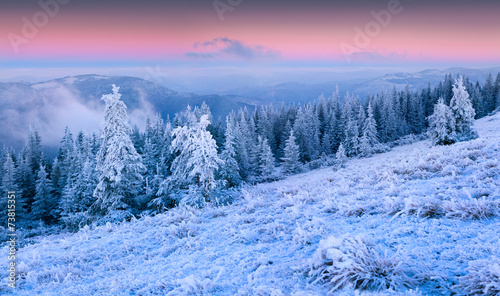 Beautiful winter sunrise in the mountain forest.