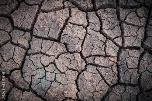 The ground