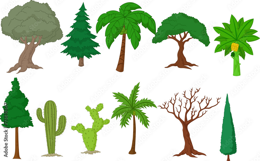 Naklejka premium Various tree collection