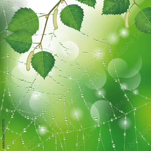 Spider web with leaves