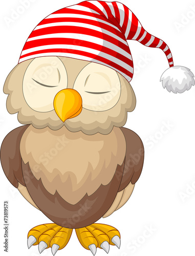 Cartoon owl sleeping