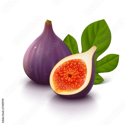 Figs fruit on white background. Vector illustration. photo