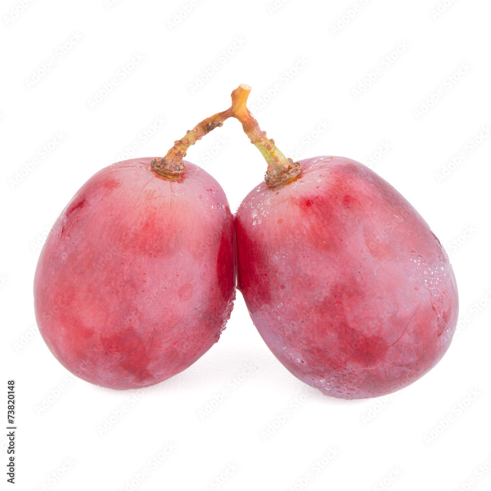Obraz premium Red grape