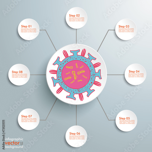 Virus Infographic 8 Steps
