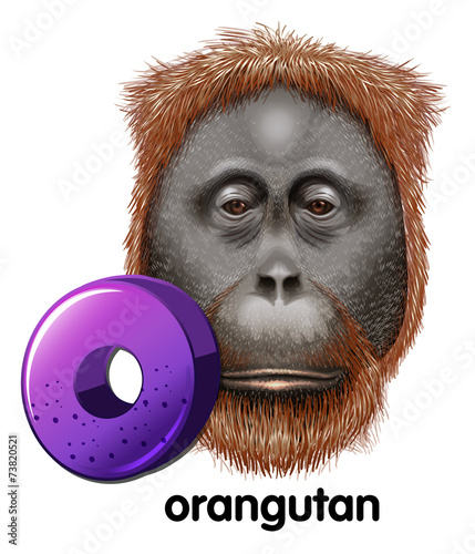 A letter O for orangutan