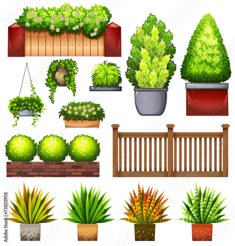Set of different plants