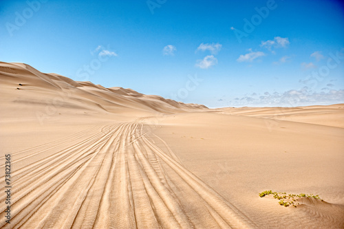 Deserto della Namibia