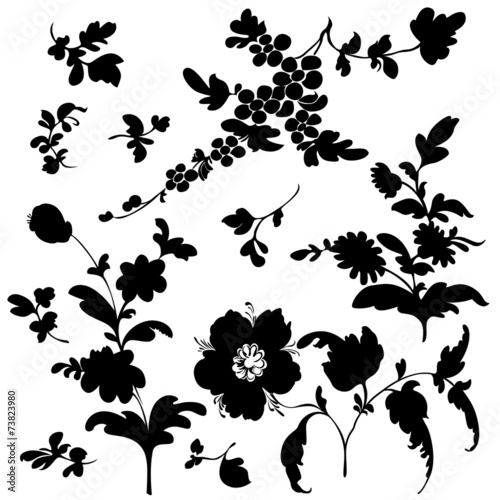 set silhouette black flowers