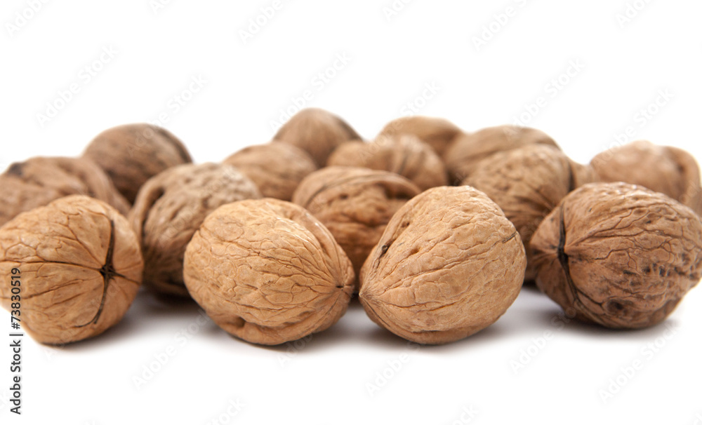 noix fraiches noix fraiches
