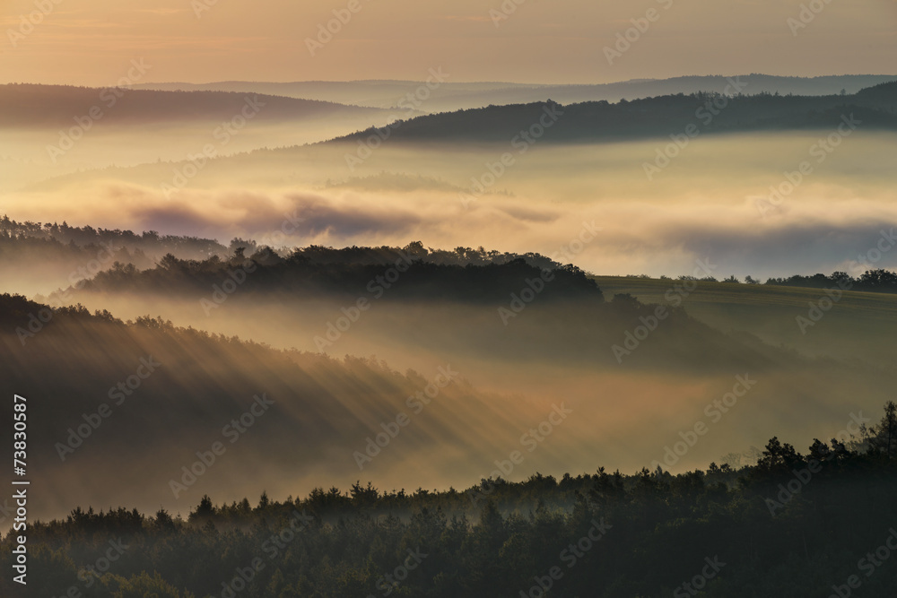Fototapeta premium Foggy morning