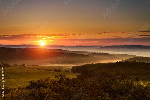 Foggy morning