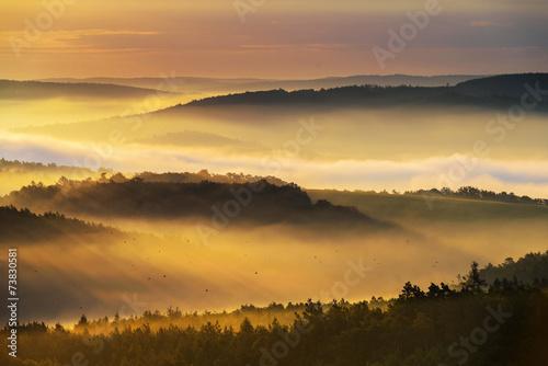 Foggy morning © tomaspic