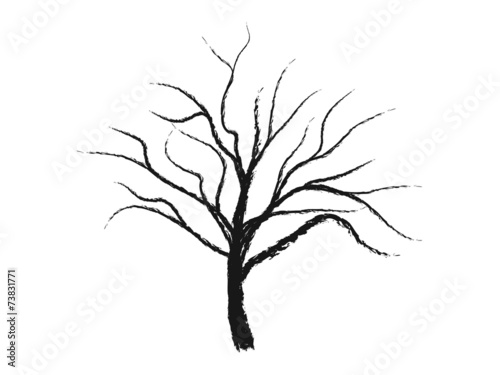 Baum