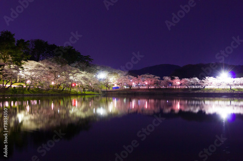 高松の池の夜桜 © iwpc
