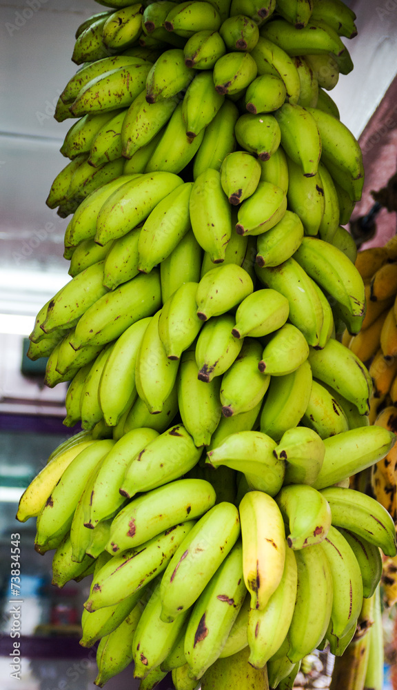 Green bananas Musa
