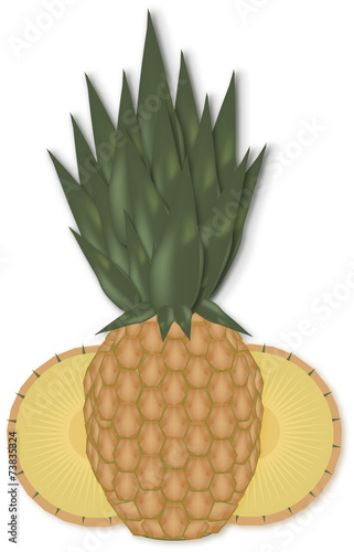 pineaple vector isolated