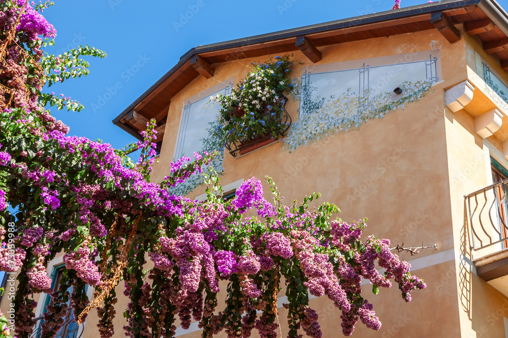 typical decorative window in the old town