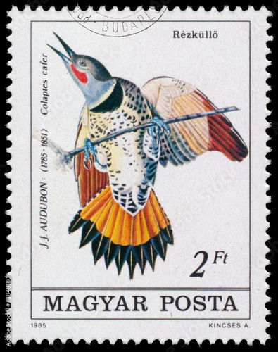 Stamp printed in Hungary shows Common Flicker photo