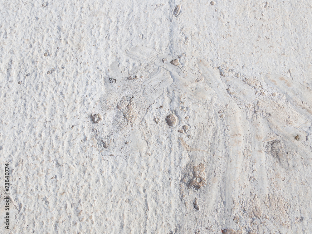 Fototapeta premium gray cement