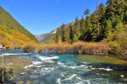 Fototapeta Naklejka Na Ścianę i Meble -  Water flowing at the creek on a valley at Jiuzhaigou