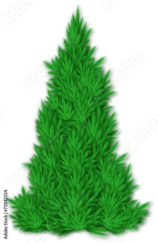 fir victor