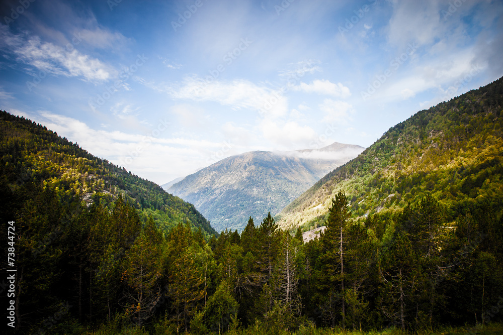 Fototapeta premium Forested valleys between the mountains. andorra