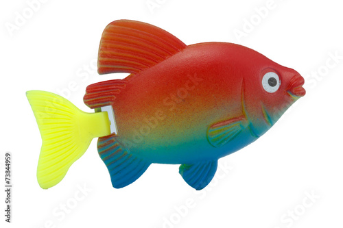fish toy plastic colorful on isolated