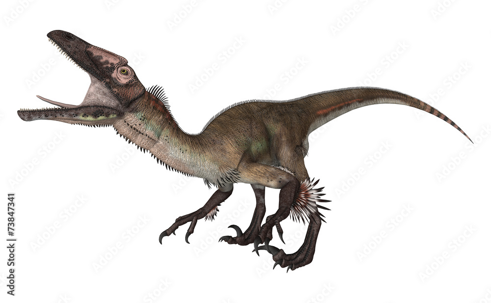 Dinosaur Utahraptor