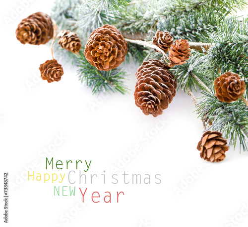 Christmas tree branch