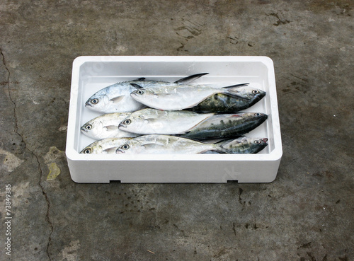 fresh Mediterranean Derbio