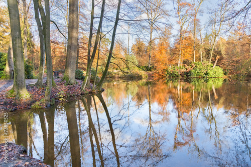 Forest in autumn with mirror image in water of pond