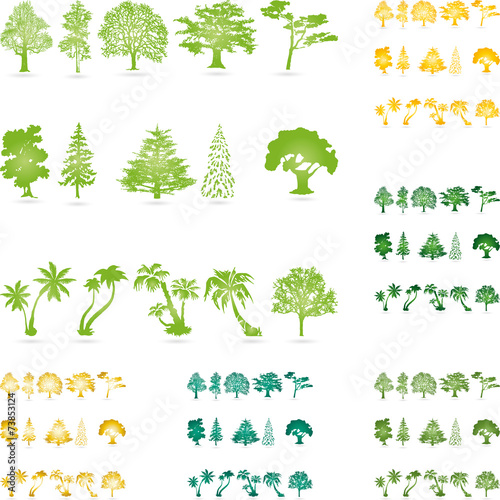 Bäume, Palmen, Tannen, tree