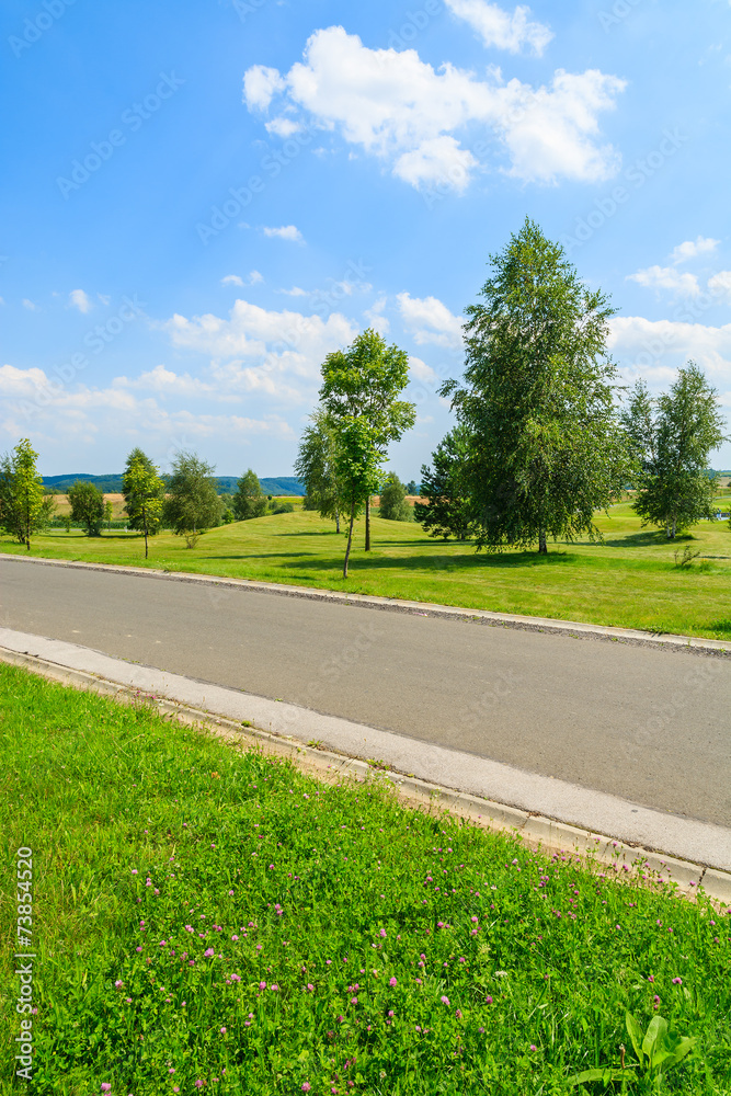 Countryside road along green fields in summer landscape, Poland