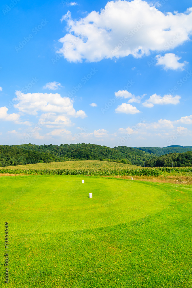 Fototapeta premium Golf course green play area on sunny summer day, Poland