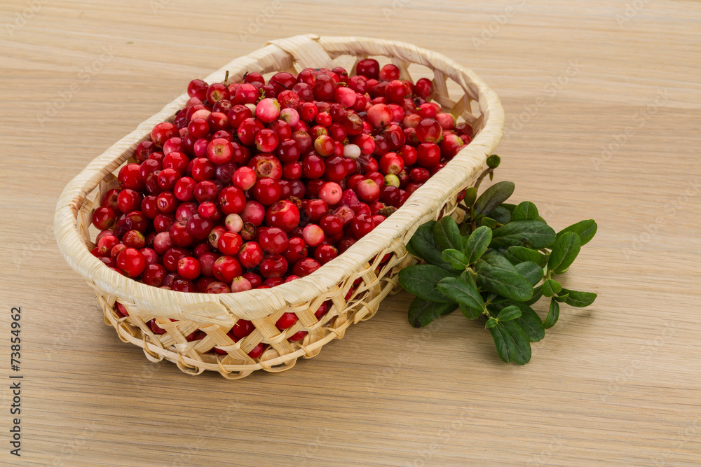 Cowberry Cowberry