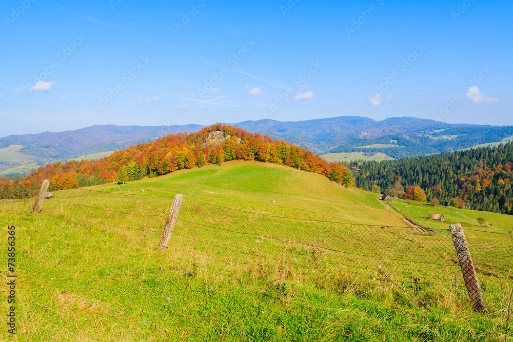 Fence on green field on in autumn day,Pieniny Mountains, Poland