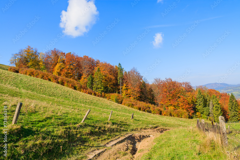 Countryside road in autumn landscape, Pieniny Mountains, Poland