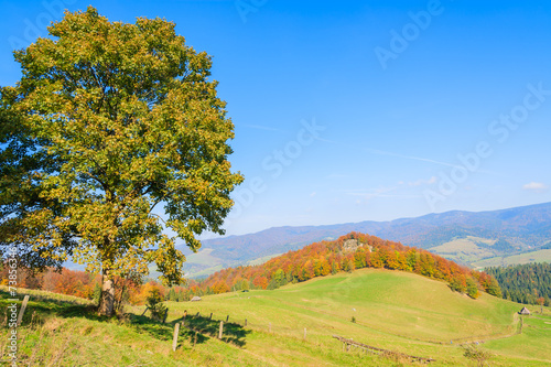 Green hills in autumn landscape of Pieniny Mountains, Poland