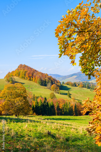 Fototapeta Naklejka Na Ścianę i Meble -  Autumn color leaves and green hills in Pieniny Mountain, Poland