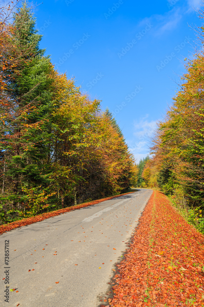 Obraz premium Countryside road in autumn landscape, Beskid Niski Mountains