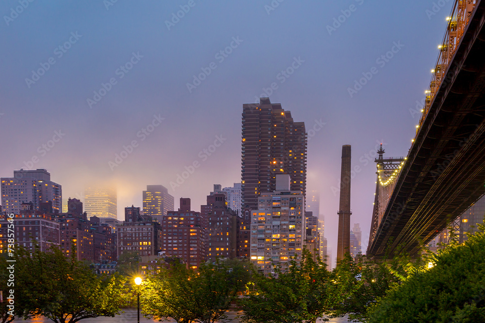 Fototapeta premium Queen Bridge, New York skyline