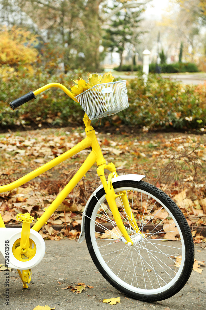Beautiful yellow bicycle in autumn park with maple leaves in
