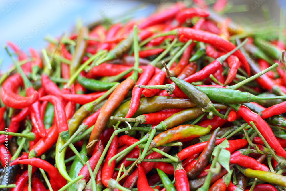 Fresh chili in the market Fresh chili in the market